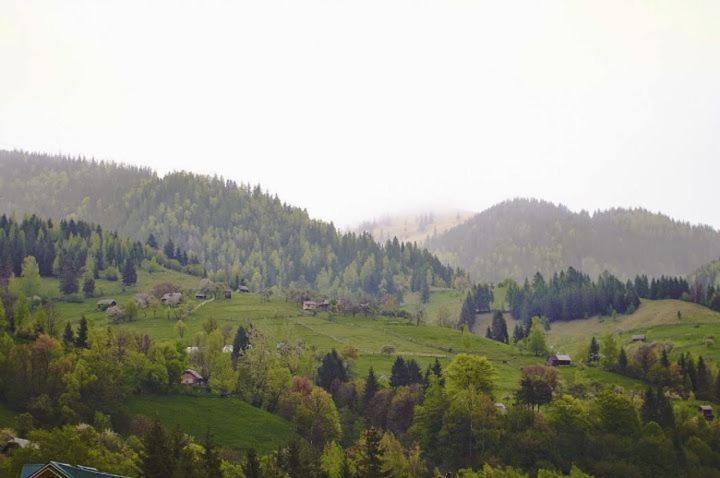 Затишний Будиночок Біля Річки Krivorovnya Buitenkant foto
